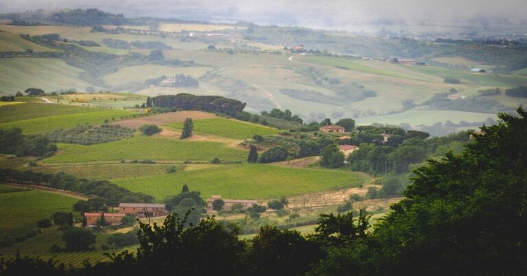 A view of an Italian agriturismo with a stone building and olive trees on a hillside