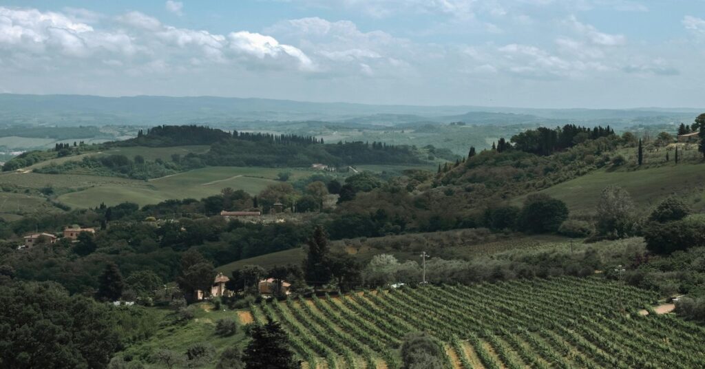 The Colosseum in Rome at sunset with a clear sky