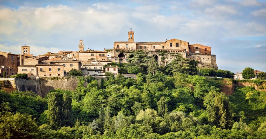 Rolling vineyard hills in the Collio region of Friuli-Venezia Giulia