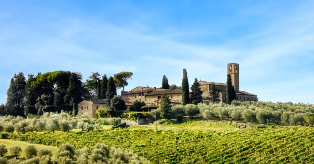 A winding dirt hiking trail passes through an olive grove with a stone farmhouse visible in the distance under a clear blue sky.