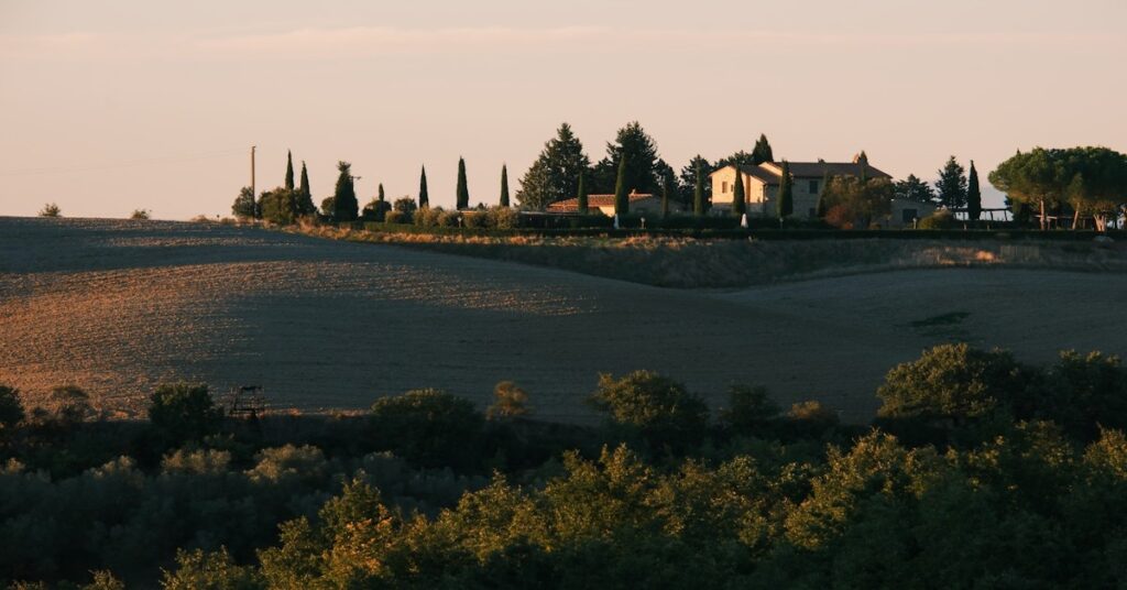 A rustic Italian farm-stay with rolling hills and olive trees under a warm sunset sky