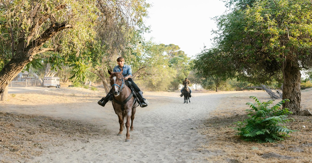 A rider on a horse on a dusty trail through rows of grapevines in Sicily with hills in the background