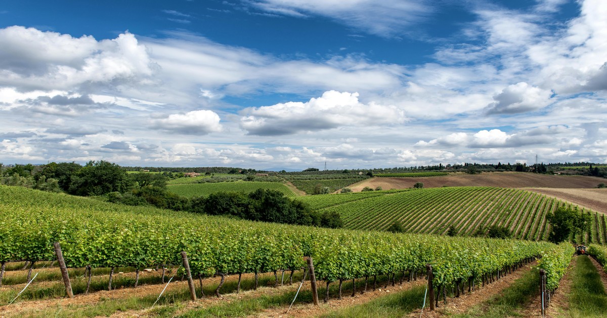 Rolling green hills and vineyards in Molise, Italy, with an agriturismo farmhouse in the distance