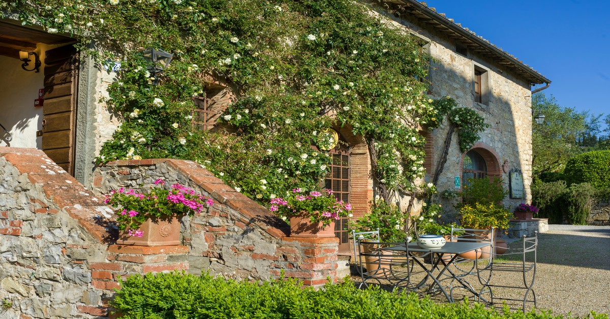 Rolling green hills with rows of olive trees and bright red poppies in the foreground at an Italian agriturismo in spring