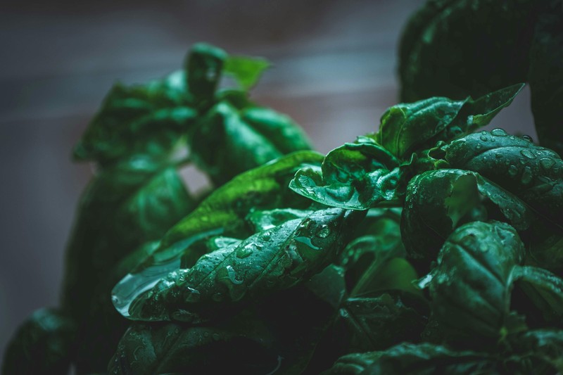 A traveler holding colorful reusable bags at a bustling Italian market full of fresh vegetables