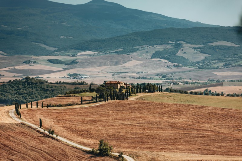 Rolling hills of Tuscany with vineyards and a farmhouse
